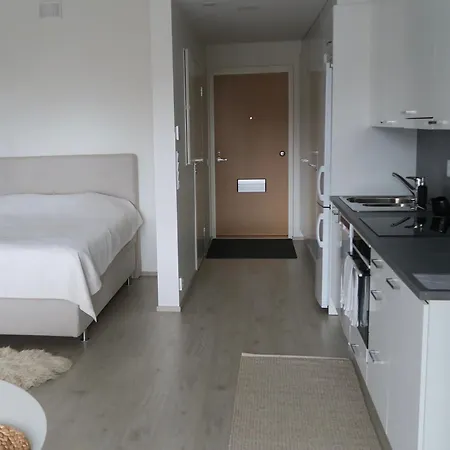 Ihana Yksioe Kangasalan Harjunsalossa * 康阿斯阿拉